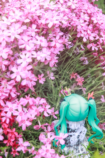 粘土人#2430 初音未来 世界第一公主殿下 2024