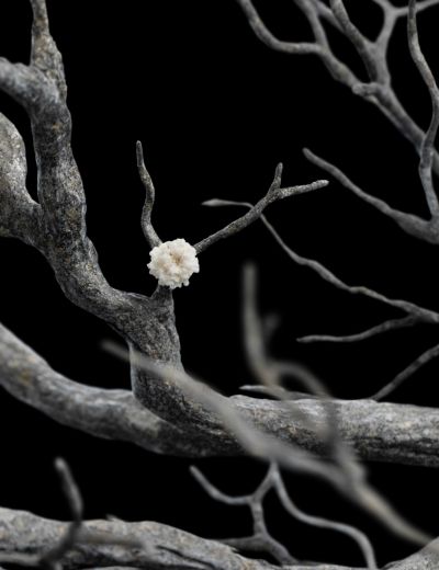 指环王 涌泉守卫 豪华版