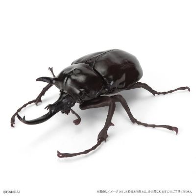 扭蛋 生物大图鉴 独角仙１1 树皮台座（小）套装