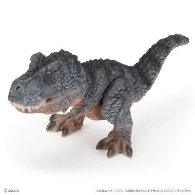 扭蛋 生物大图鉴爬虫类 恐龙05