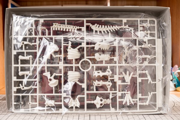 宝可梦拼装模型收藏 化石宝可梦系列 怪颚龙