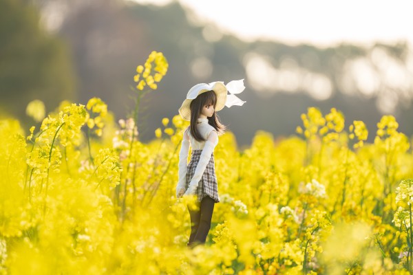 Dollfie Dream DD 白色相簿 森川由绮