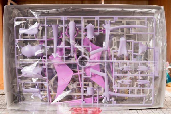 宝可梦拼装模型收藏 化石宝可梦系列 化石翼龙