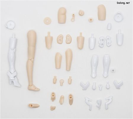 破界少女 勇者王 勇者少女