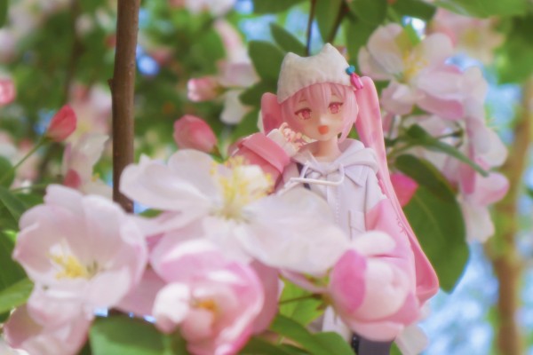 TENITOLpetit 樱花未来 酷风格