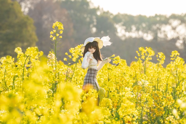 Dollfie Dream DD 白色相簿 森川由绮