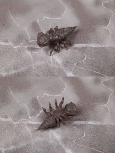 S.H.MonsterArts 超翔龙美加奇拉斯 进化套装