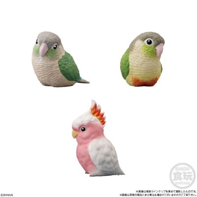 食玩 手乘朋友们10 鸟类