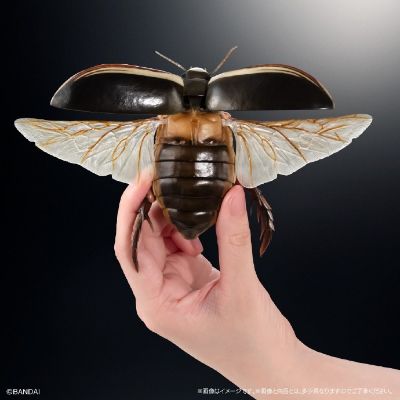 扭蛋 生物大图鉴Advance 水生昆虫02