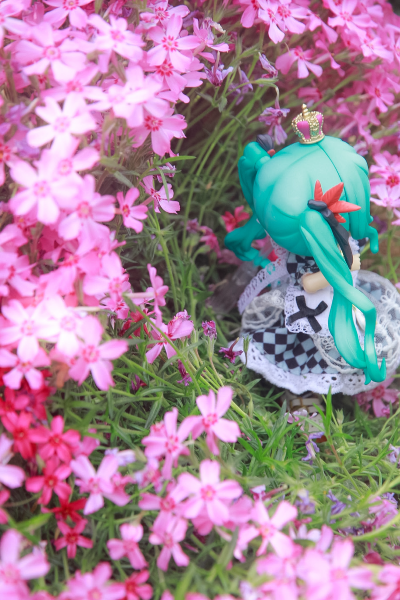 粘土人#2430 初音未来 世界第一公主殿下 2024