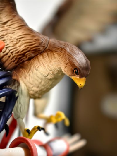 侍魂：晓 娜可露露