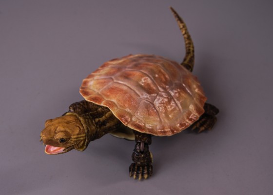 进化生物大图鉴 龟02 附带磁铁的石头形展示架套装