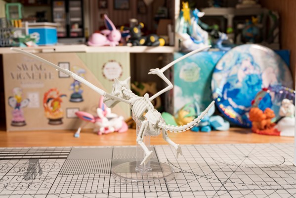 宝可梦拼装模型收藏 化石宝可梦系列 化石翼龙