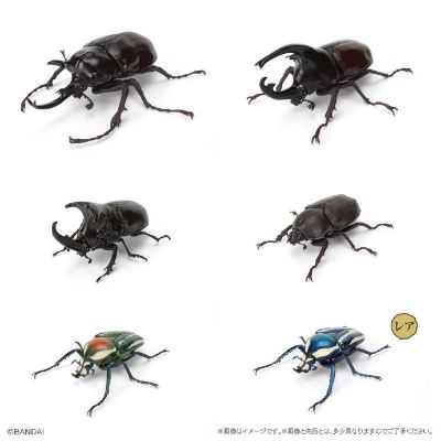 扭蛋 生物大图鉴 独角仙１1 树皮台座（小）套装
