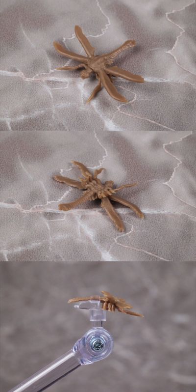 S.H.MonsterArts 超翔龙美加奇拉斯 进化套装