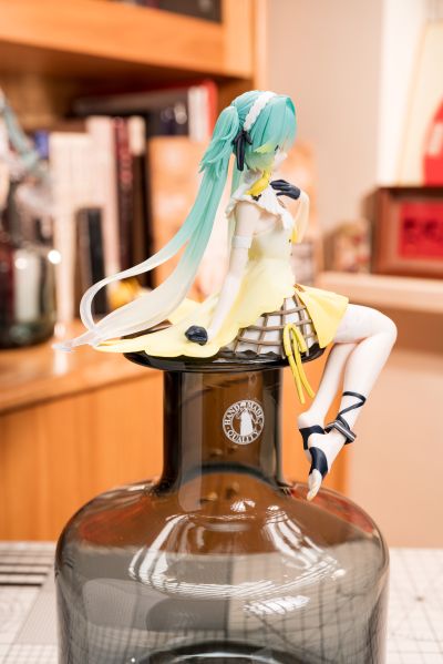 压泡面 初音未来 金丝雀