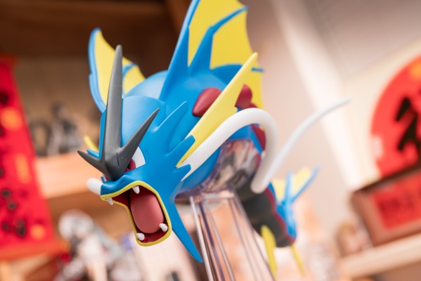 宝可梦比例世界 卡洛斯地区 超级暴鲤龙