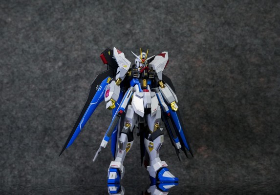 METAL ROBOT魂 ＜机动战士系列＞ 强袭自由高达 [Re:Coordinate]