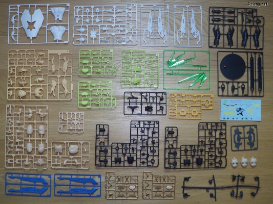 大比例 珍妮 Stella Innocent