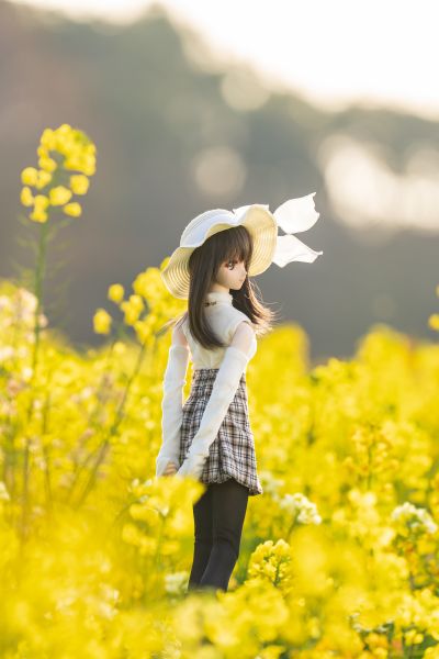 Dollfie Dream DD 白色相簿 森川由绮