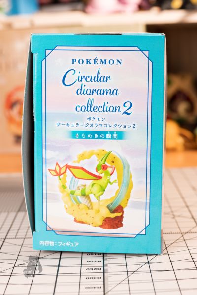 宝可梦圆形立体模型系列 2：闪耀时刻