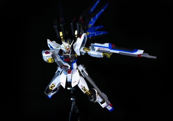 METAL ROBOT魂 ＜机动战士系列＞ 强袭自由高达 [Re:Coordinate]