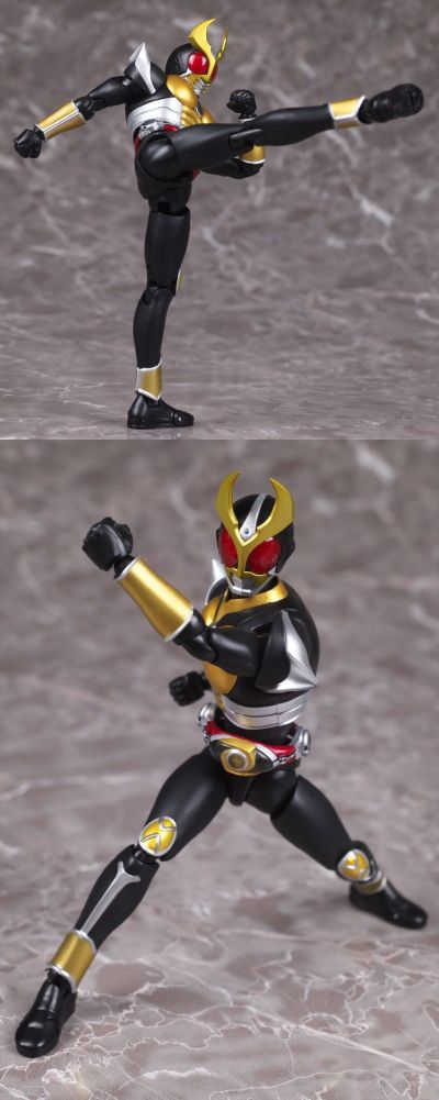 S.H.Figuarts（真骨雕制法） 假面骑士亚极陀 大地形态 25周年纪念版