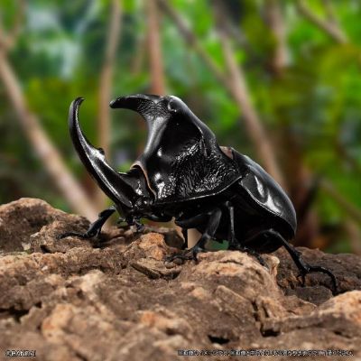 扭蛋 生物大图鉴 独角仙１1 树皮台座（小）套装