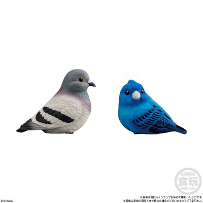 食玩 手乘朋友们10 鸟类