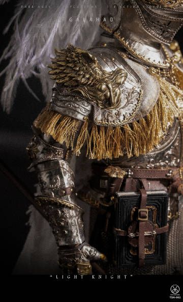 圣杯探寻者受恩之人-加拉哈德