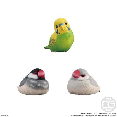 食玩 手乘朋友们10 鸟类