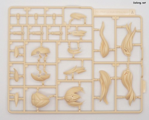 大比例 珍妮 Stella Innocent