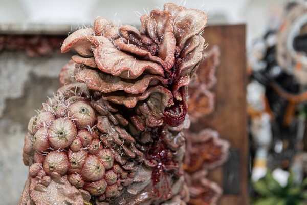 最后生还者 艾莉