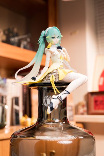 压泡面 初音未来 金丝雀