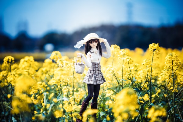 Dollfie Dream DD 白色相簿 森川由绮