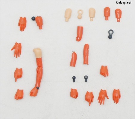 女神装置 SOL 走鹃鸟