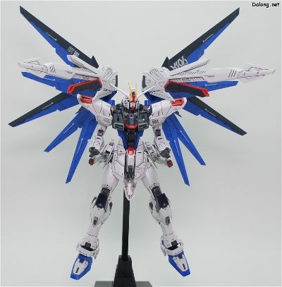 MG 1/100 机动战士高达SEED 自由高达Ver.2.0 ＆ 基拉・大和