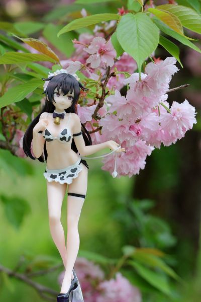 不时用俄语小声说真心话的邻桌艾莉同学 TENITOL TALL 周防有希 奶牛