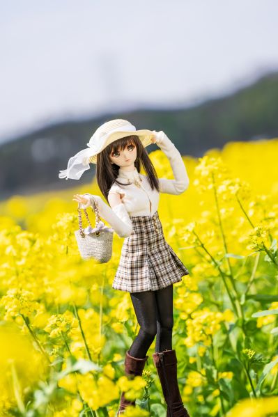 Dollfie Dream DD 白色相簿 森川由绮