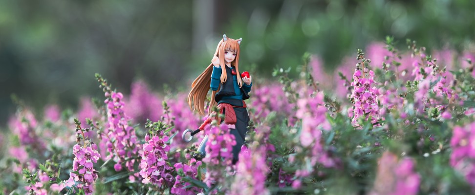 figma#647 狼与香辛料 merchant meets the wise wolf 赫萝