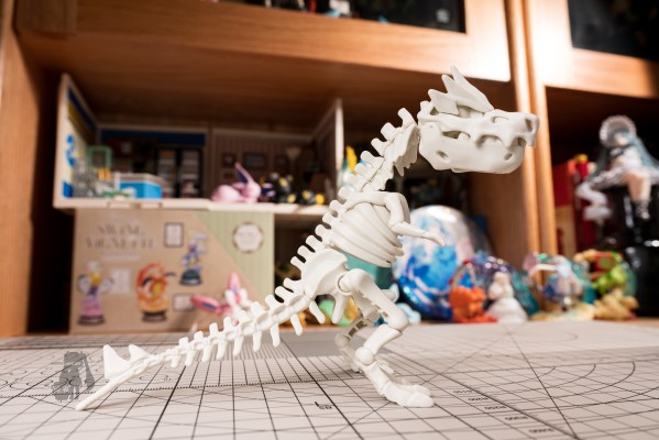 宝可梦拼装模型收藏 化石宝可梦系列 怪颚龙