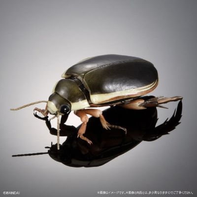 扭蛋 生物大图鉴Advance 水生昆虫02