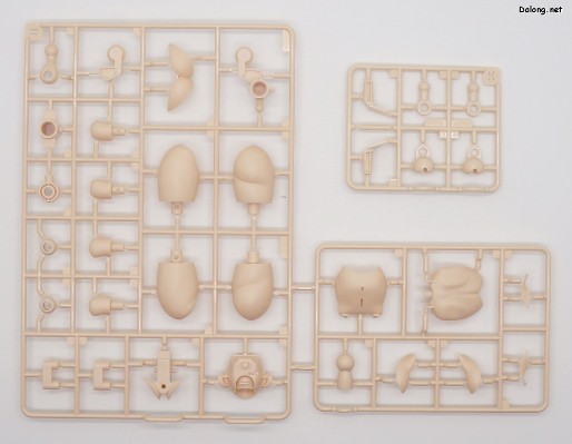 大比例 珍妮 Stella Innocent