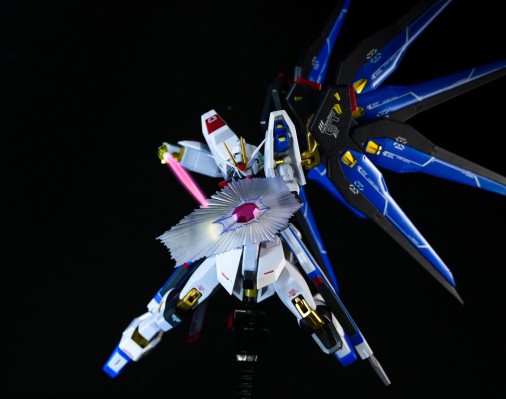 METAL ROBOT魂 ＜机动战士系列＞ 强袭自由高达 [Re:Coordinate]
