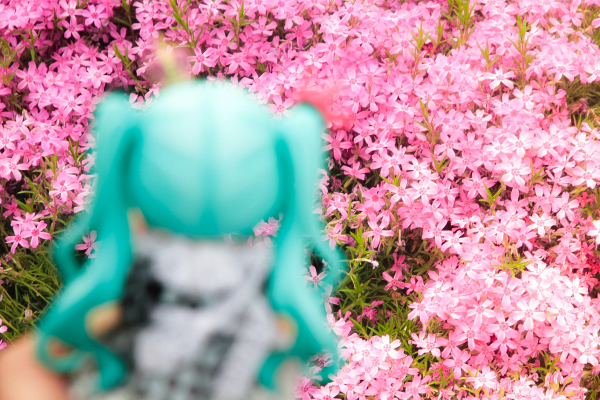 粘土人#2430 初音未来 世界第一公主殿下 2024