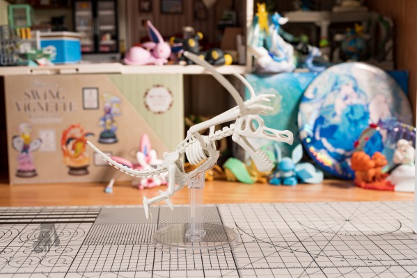 宝可梦拼装模型收藏 化石宝可梦系列 化石翼龙