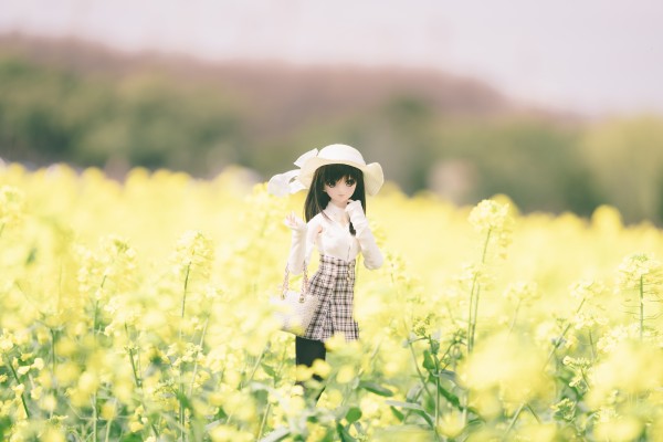 Dollfie Dream DD 白色相簿 森川由绮