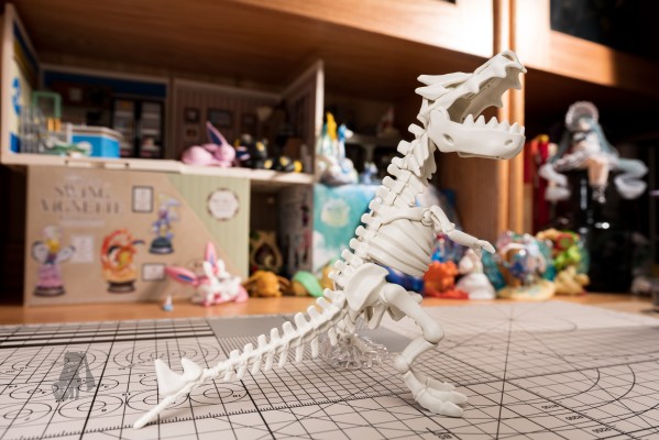 宝可梦拼装模型收藏 化石宝可梦系列 怪颚龙