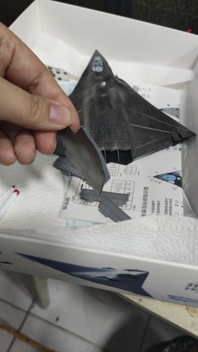 中国 南六代战机（验证型） 拼装模型