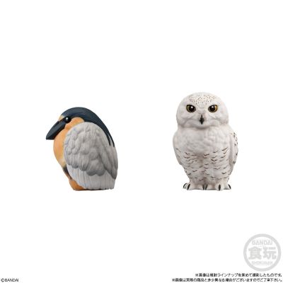 食玩 手乘朋友们10 鸟类